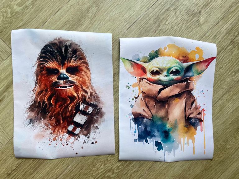 Star Wars Canvas Print 30x40cm 