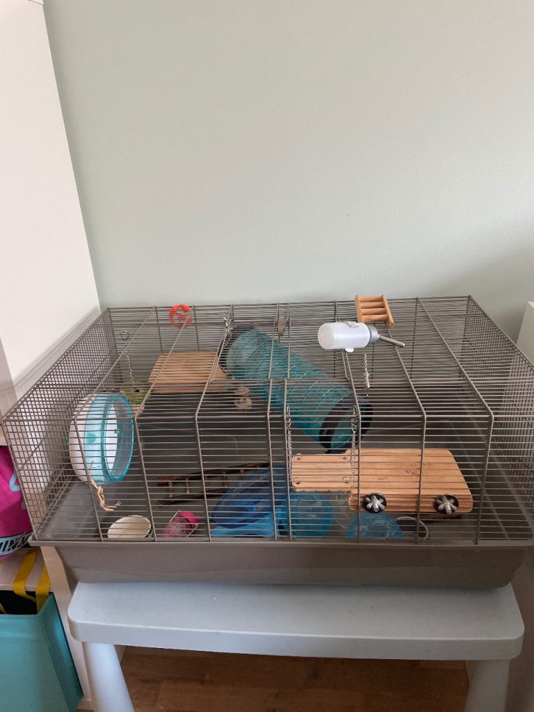 Large hamster cage (and table)
