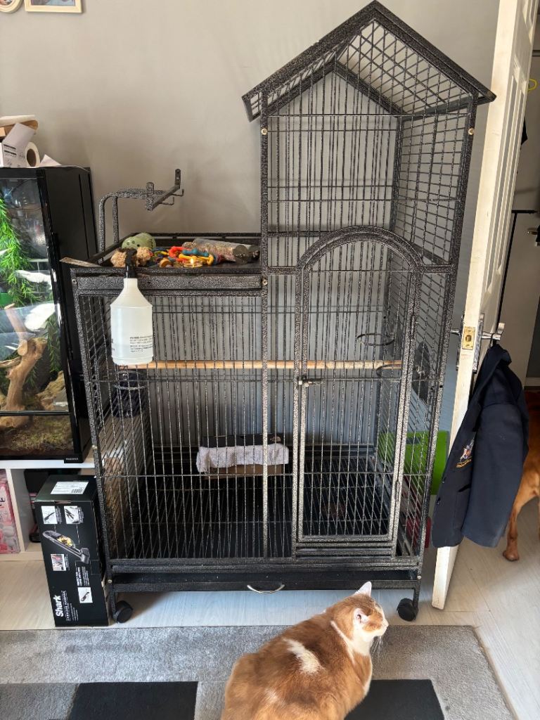 Large parrot cage 