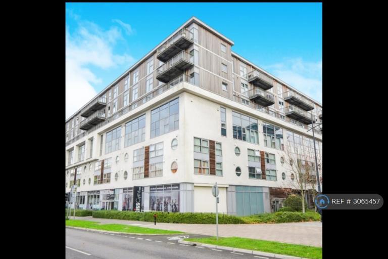 1 bedroom flat in Beckhampton Street, Swindon, SN1 (1 bed) (#3065457)