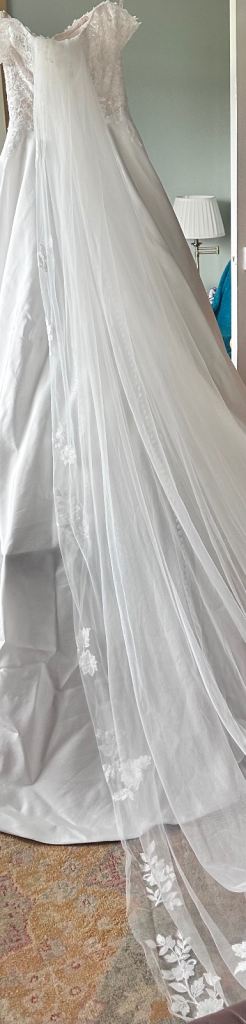 Wedding gown and vail