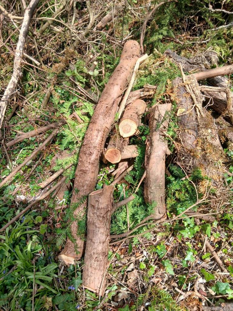 FIRE LOGS