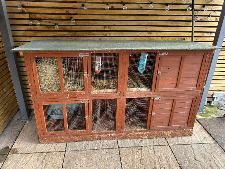 Rabbits hutch all included 