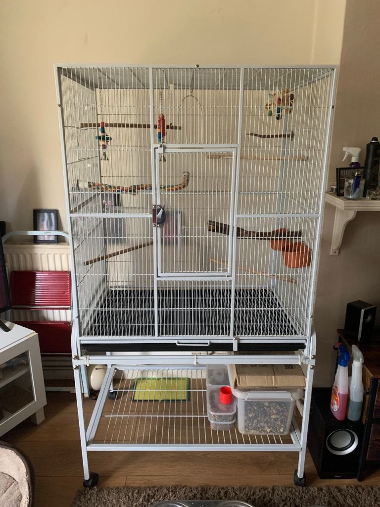 Large bird cage with accessories 