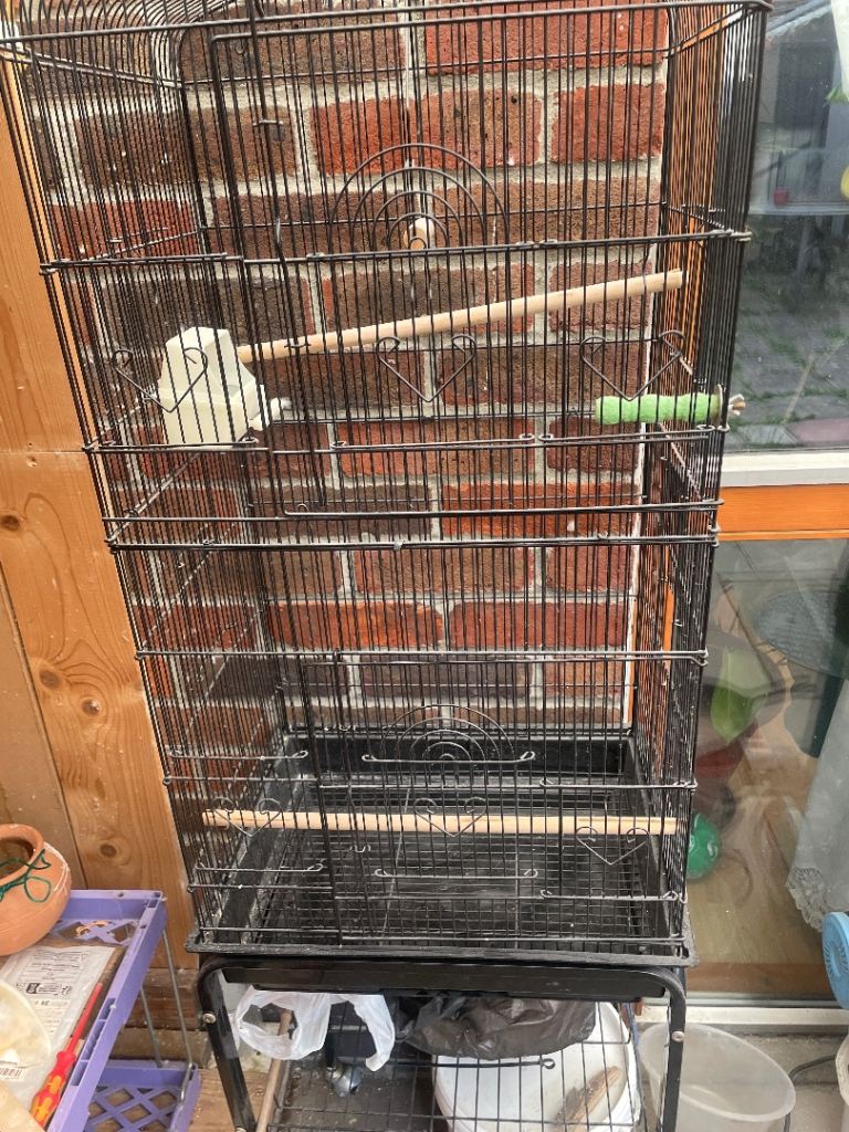Cage