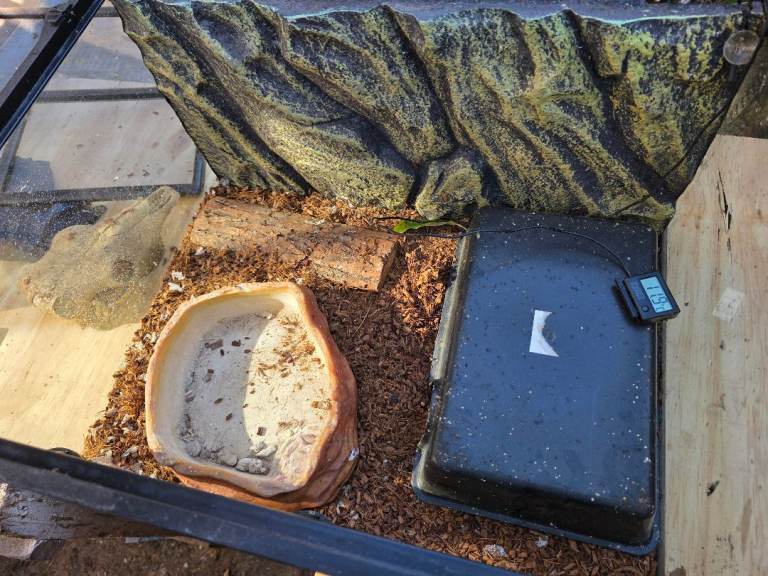 Exo terra 450x300x600 reptile tank 