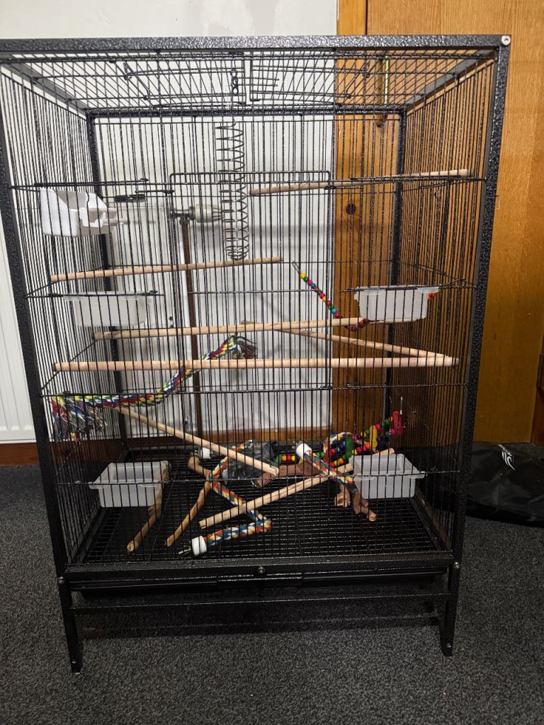 Large Birdcage Free-Standing or tabletop 