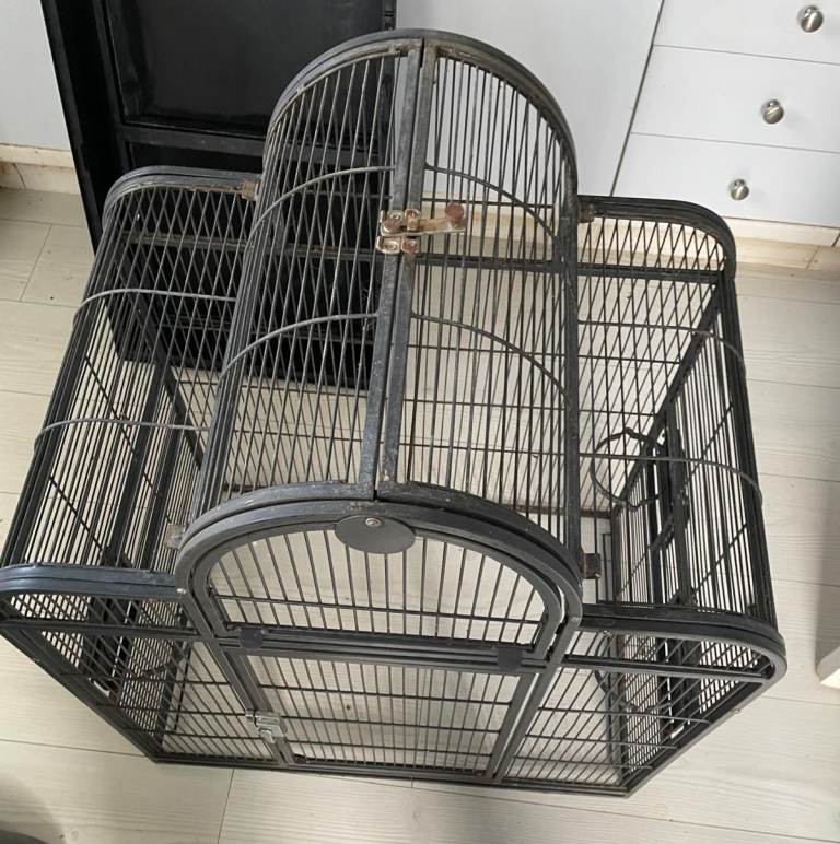 Bird Cage 