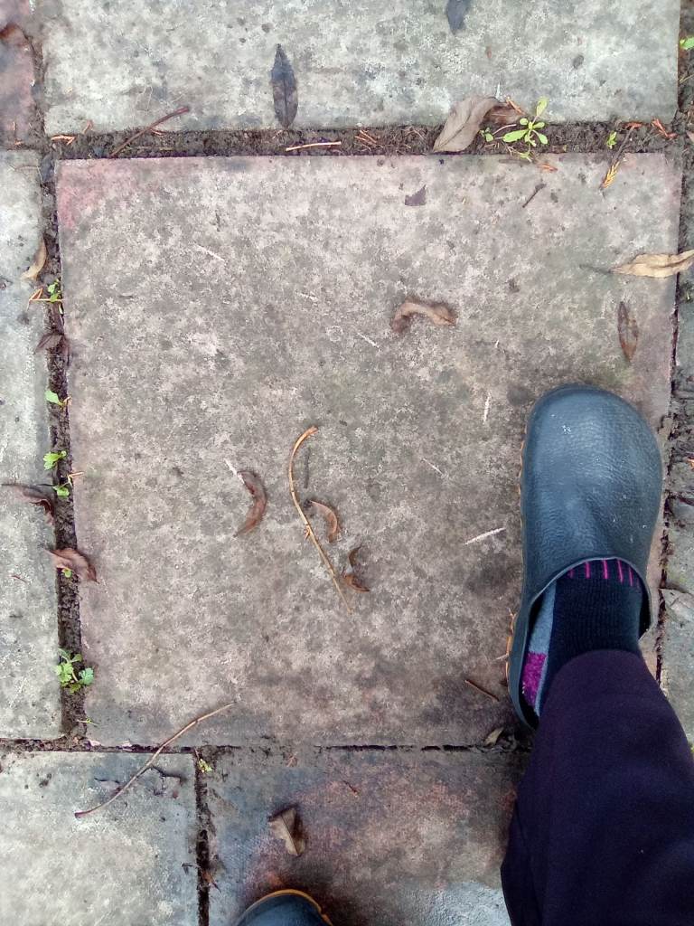 Wanted Slabs refitted