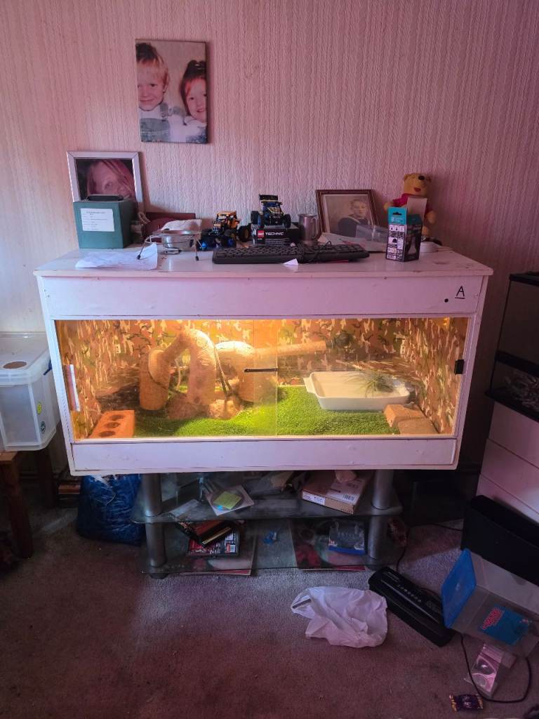 Large homemade vivarium 