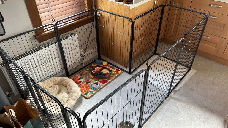 8 Panel Heavy Duty Puppy Play Pen – Excellent Condition