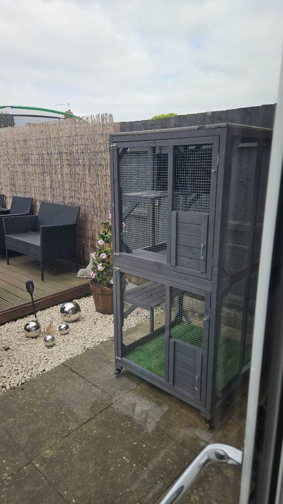 Catio. On wheels, safe and secure 