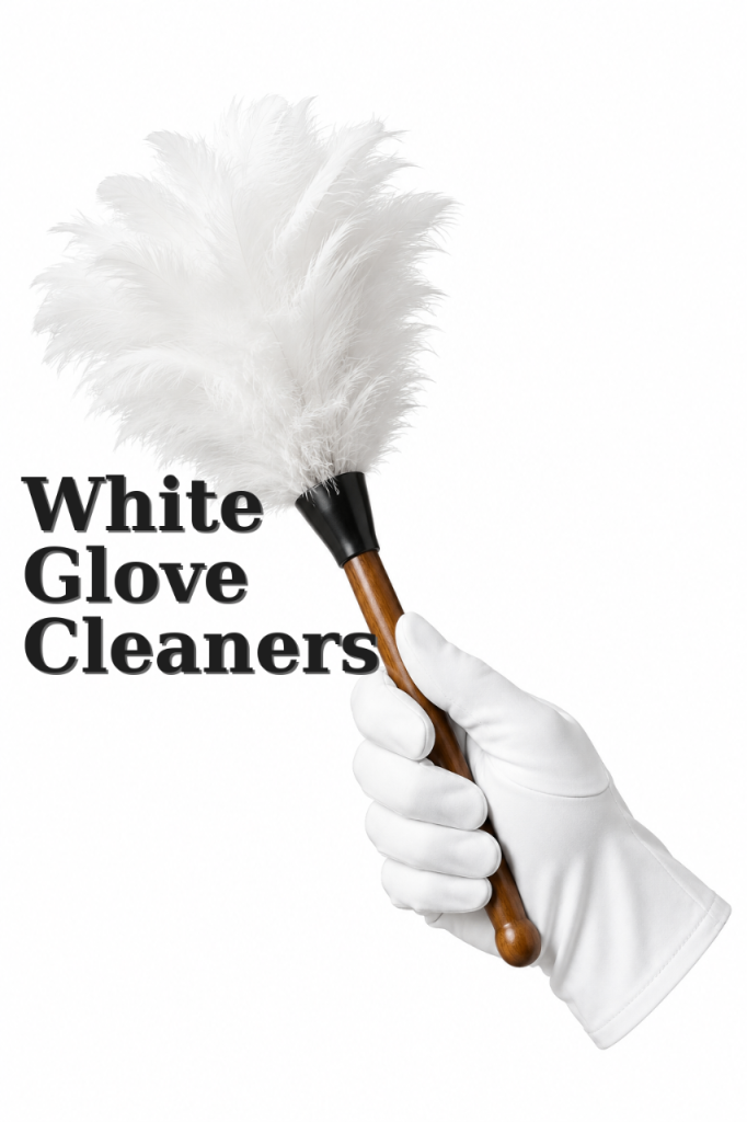 CLEANER / CLEANING SERVICES - DOMESTIC & HOUSE CLEANERS - PROFESSIONAL AND RELIABLE 