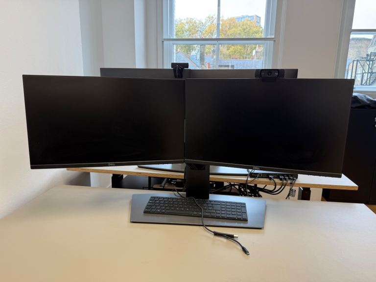 Dell Dual Monitors w/ Stand