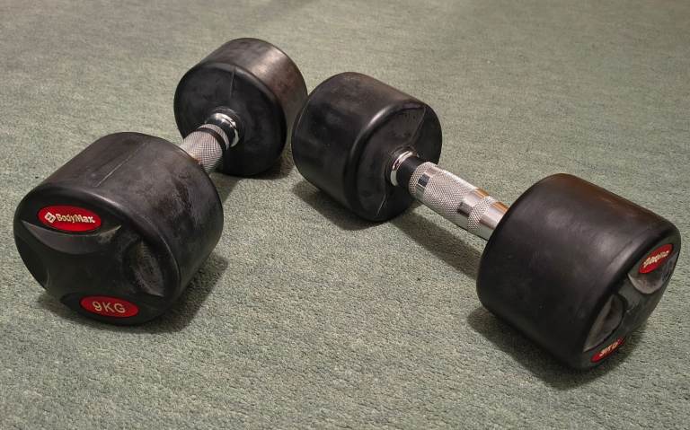 BodyMax 9kg dumbbells (pair)
