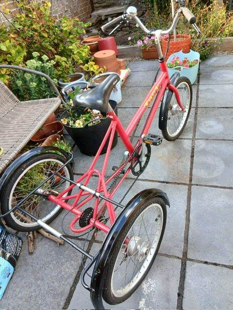 Cresswell (Pashley) Adult Trike