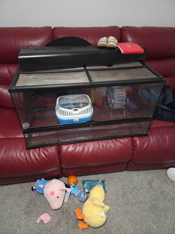 Exo Terra Glass Terrarium 90x60x60cm 