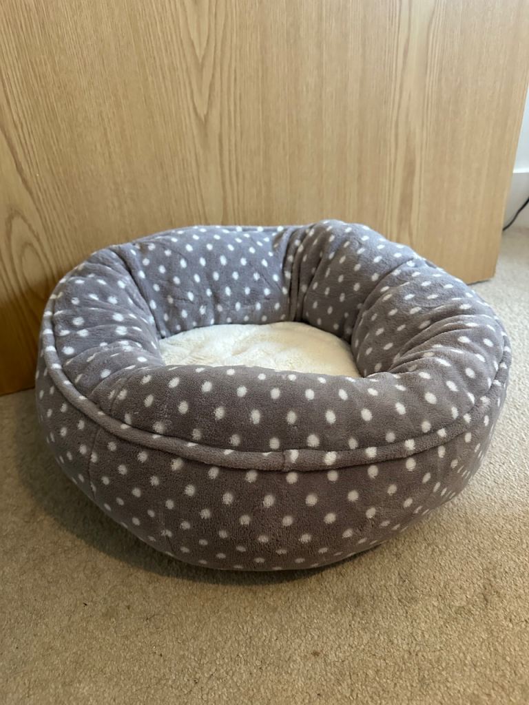 Cat Scratching Post, Bed and Toys