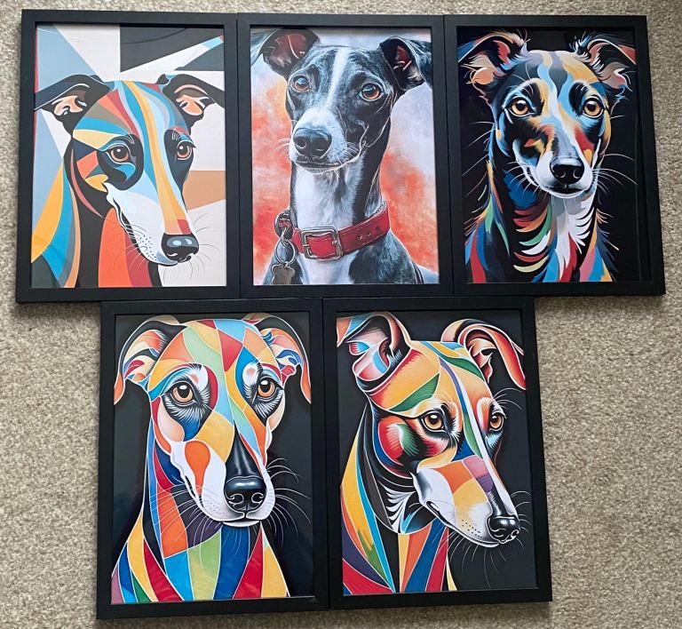 Set of 5 Colourful Dog Breeds in A4 box frames 