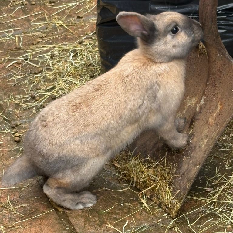 Two beautiful brothers 