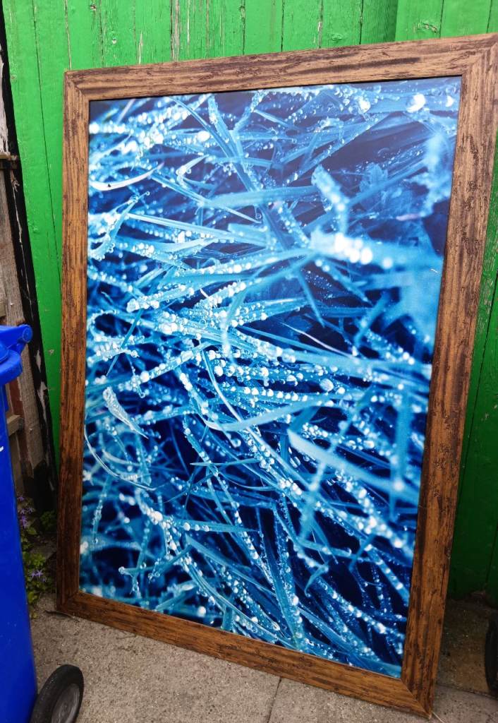 FREE! Massive wooden picture frame