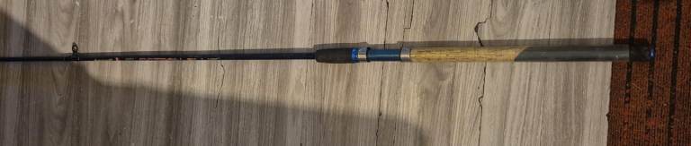 Fishing rod