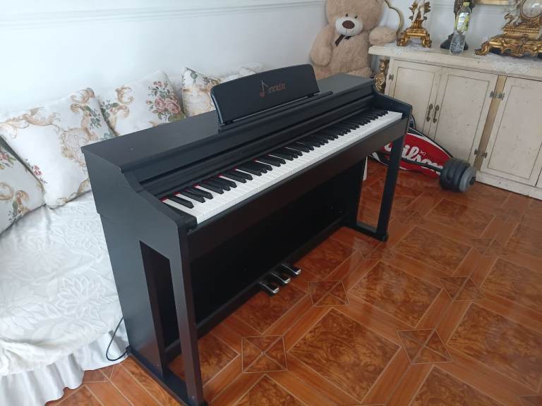 DONNER DIGITAL PIANO DDP-100 £250
