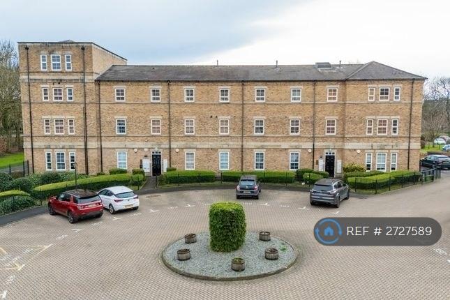 1 bedroom flat in Beven Grove, Wakefield, WF1 (1 bed) (#2727589)