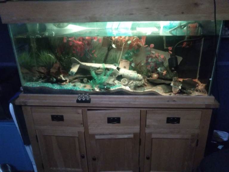 ***REDUCED***Beautiful 300l aquarium on a marine oak cabinet 