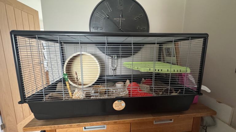 Hamster cage only bought 2 weeks ago