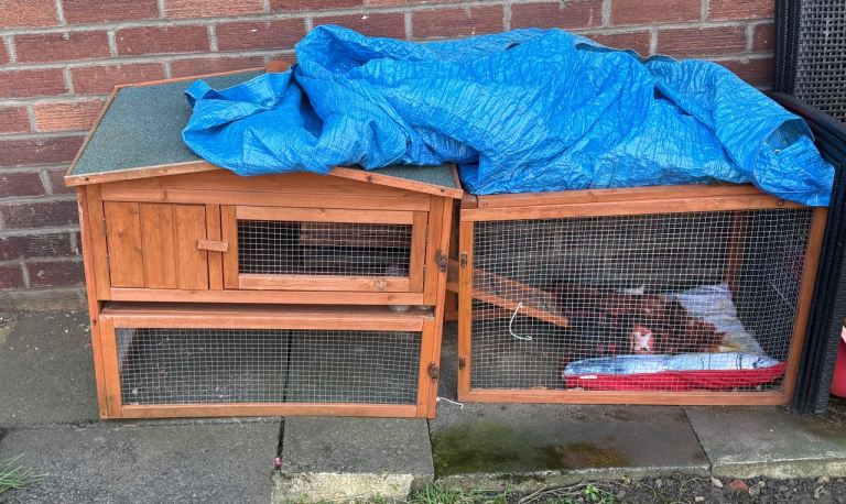 FREE - Rabbit Hutch and Run