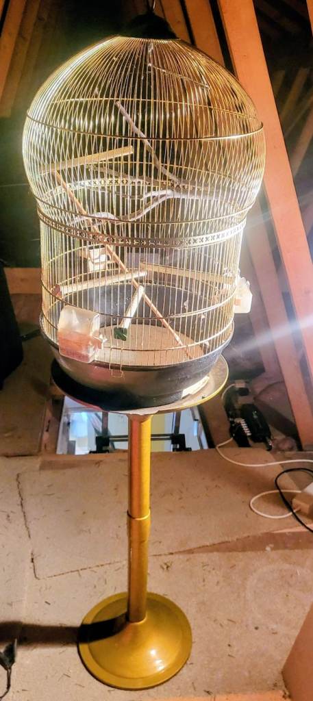 Birdcage