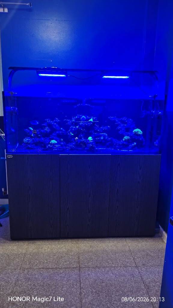 Tank strip down D-d aqua pro reef 1500 for sale. 