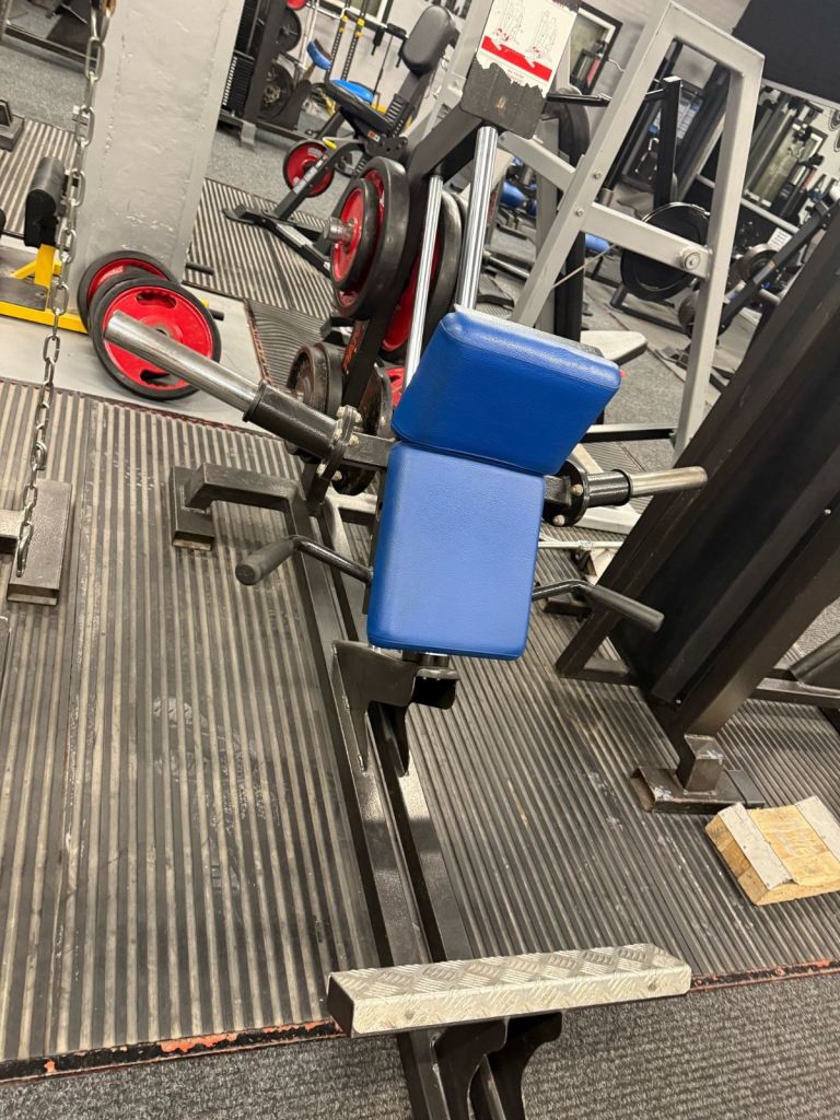 Panatta Sport Calf Raise Machine RARE Commercial Gyn Equipment Italian