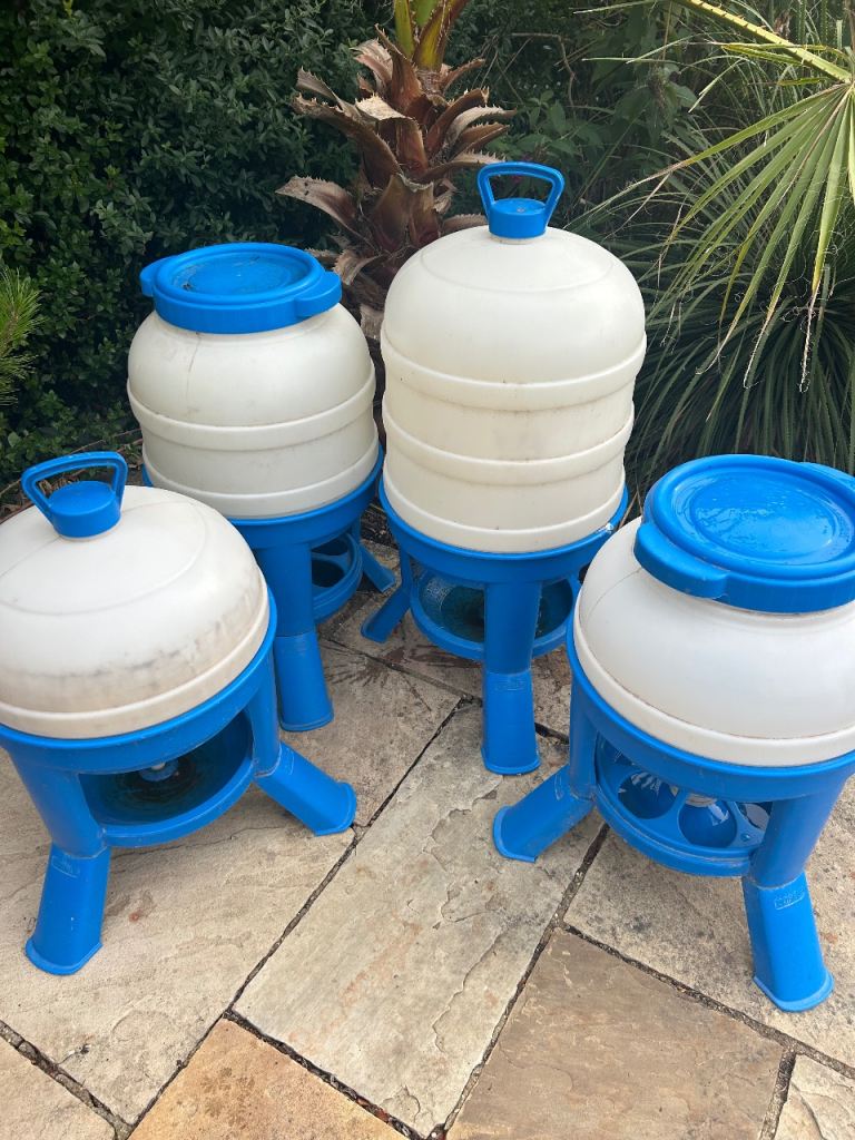 Gravity chicken water and pellet feeders 