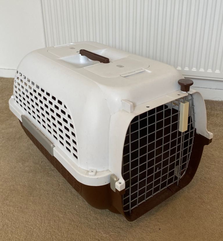 Free pet carrier: Large cat or small dog