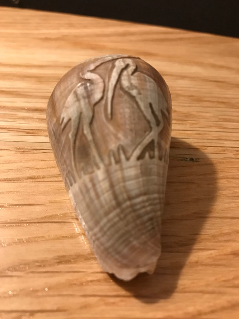 1900's Vintage Hand Carved Scene of two storks on sea shell