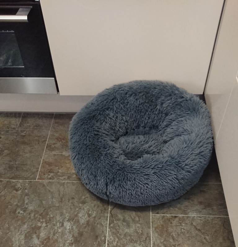 Dog dounut bed 