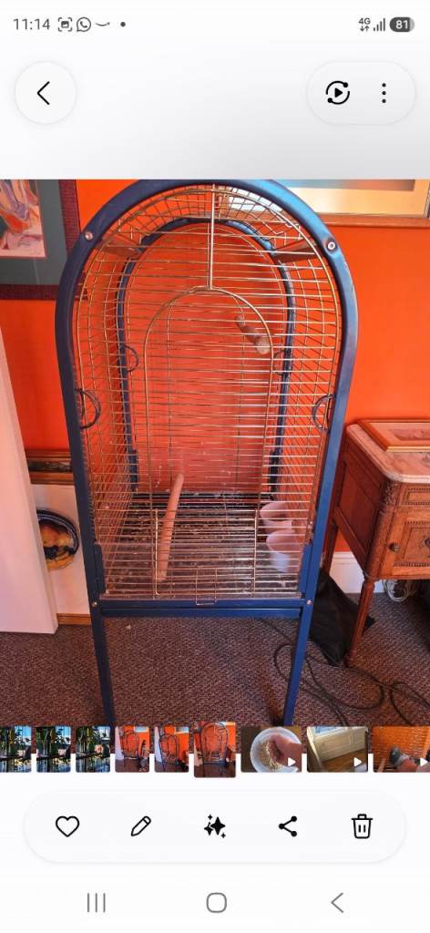 Large bird cage or parrot cage