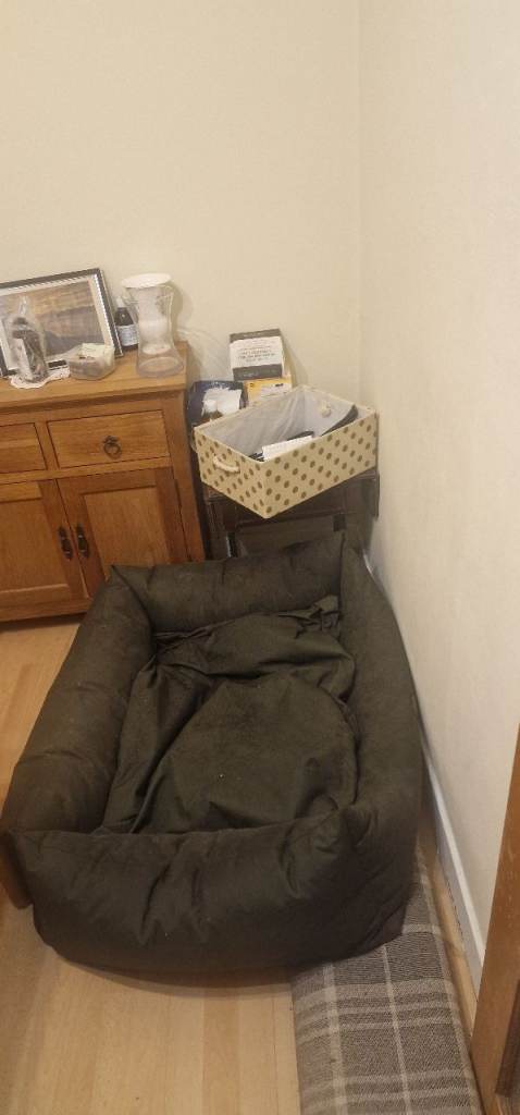 Dogs bed