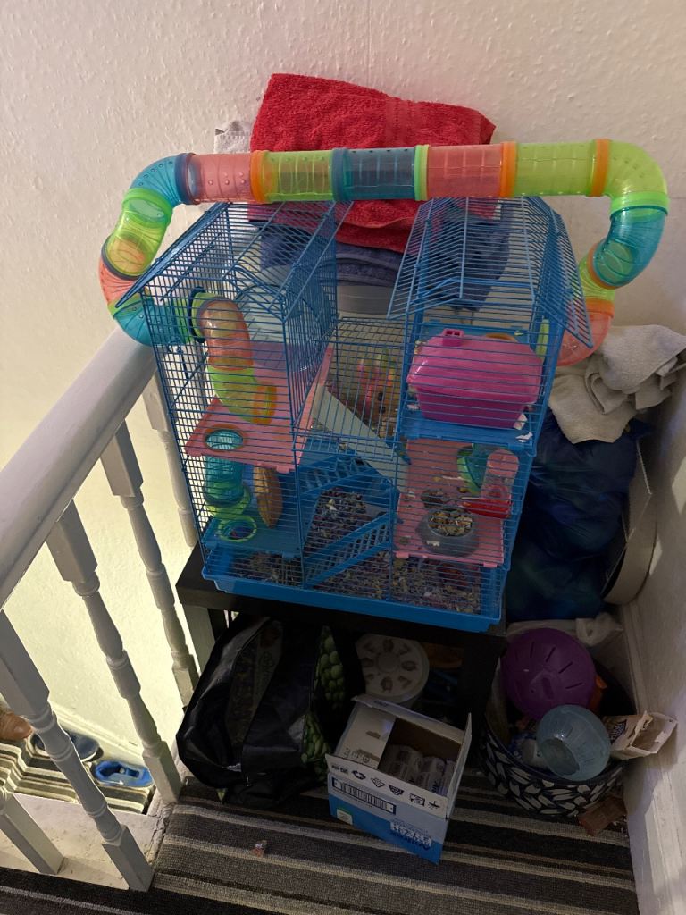 Hamster cages 