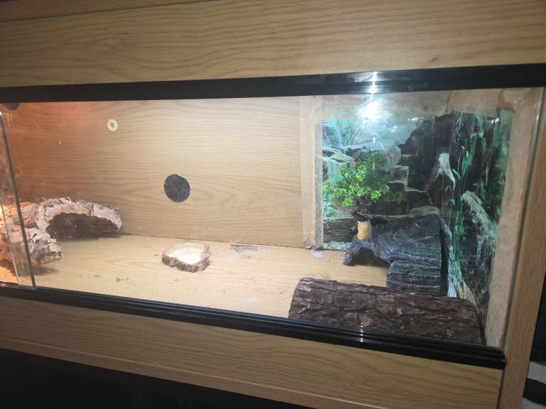 Vivarium 4ft