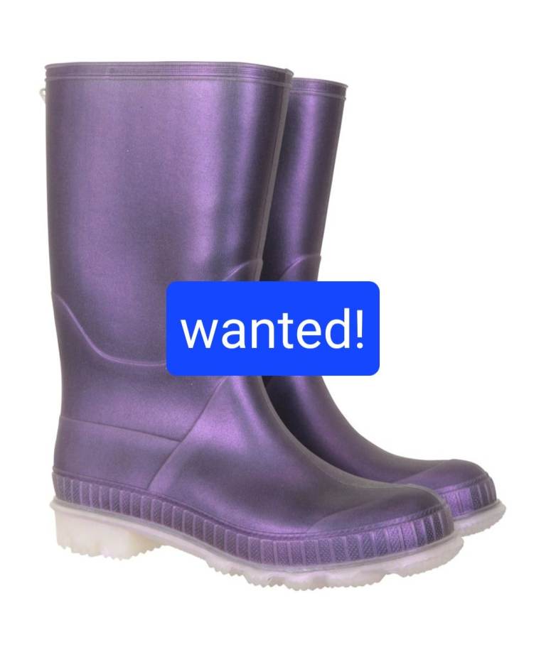 Wanted - kids wellies 12/13
