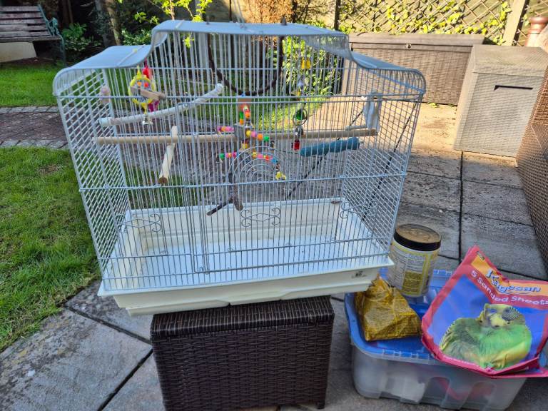 Bird Cage