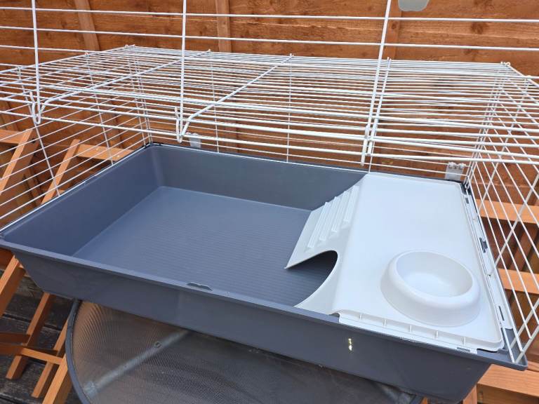 Guinea pig - small animal cage