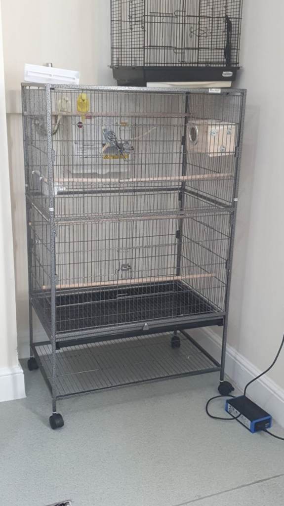 Birds cage in London 