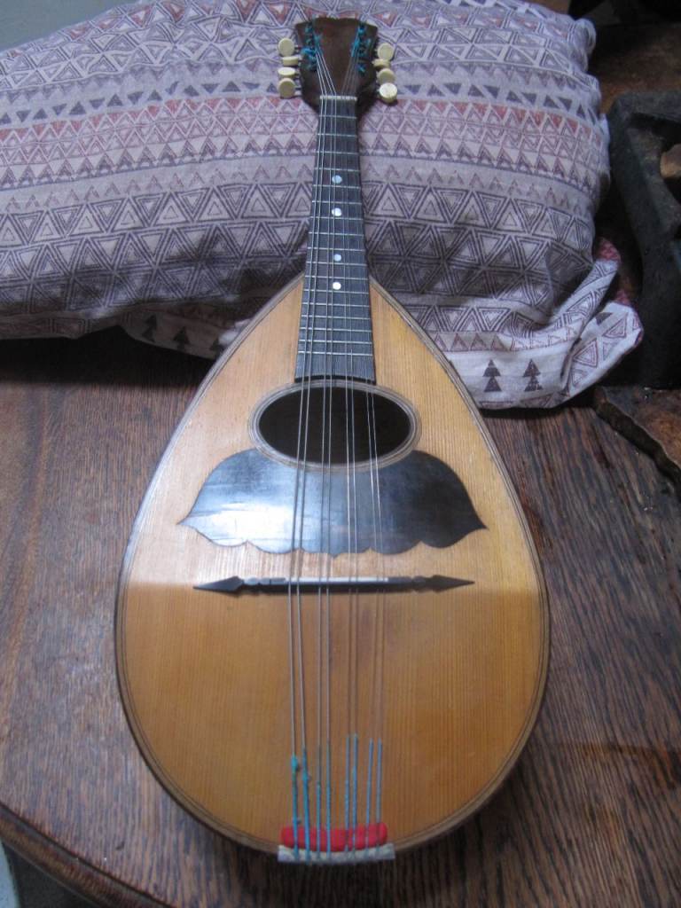 Vinaccia mandolin circa 1920 with original case