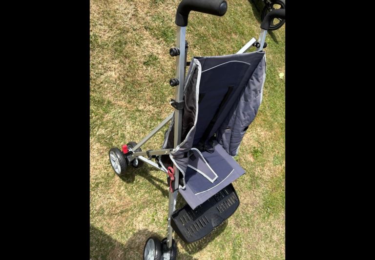 Autism /Disability Buggy 