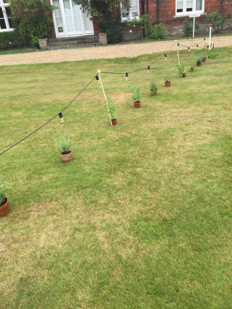 Selection of small and medium vintage terracotta pots