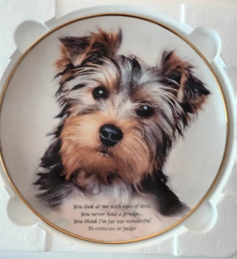 Cute Yorkshire Terrier Puppy Decorative Plate